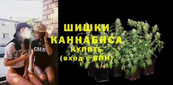 ECSTASY Елизово