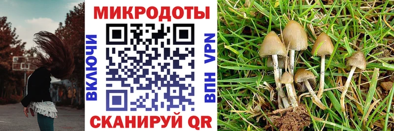 Купить где  Короча  Псилоцибиновые грибы Magic Shrooms 